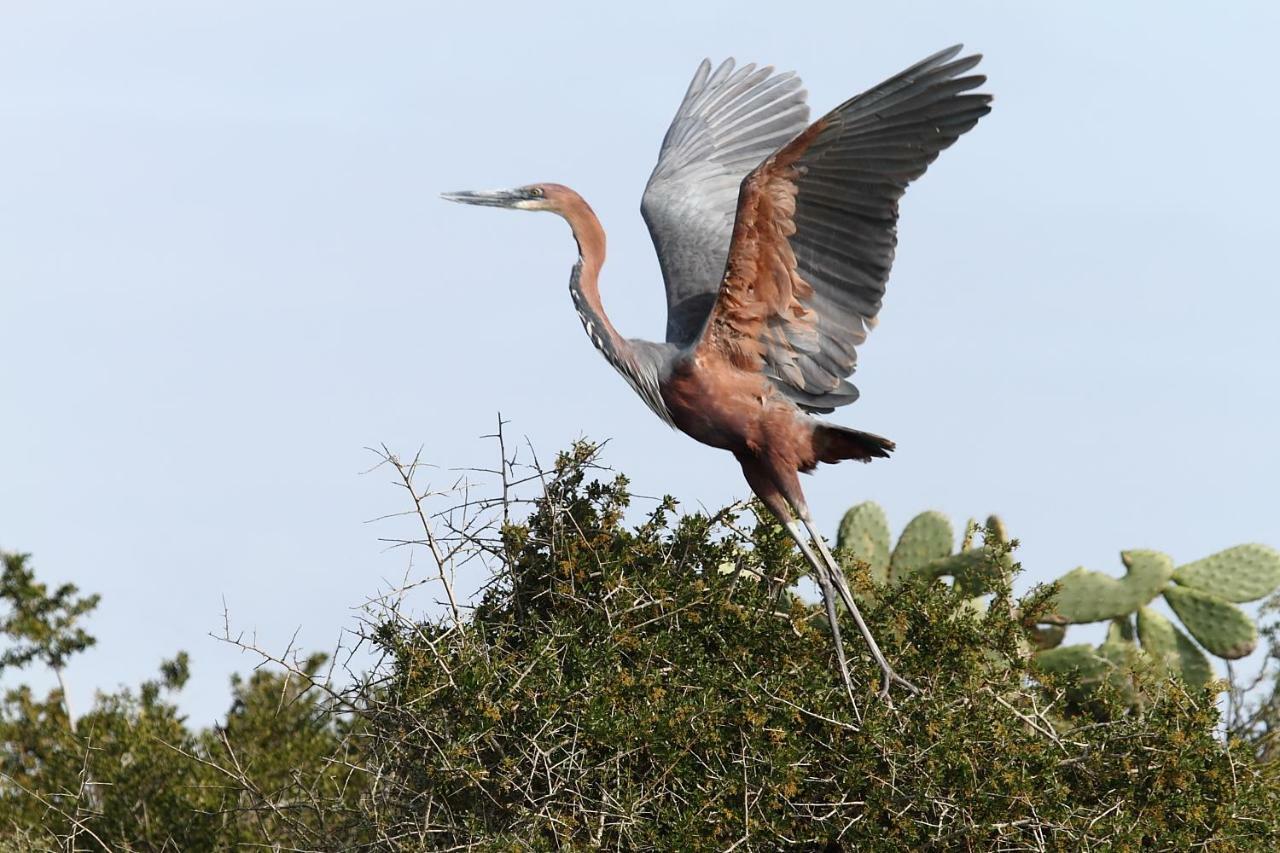Addo Gateway Lodge Colchester Kültér fotó